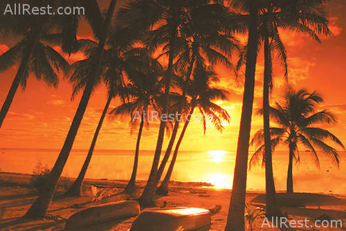 Amora Beach Resort 15